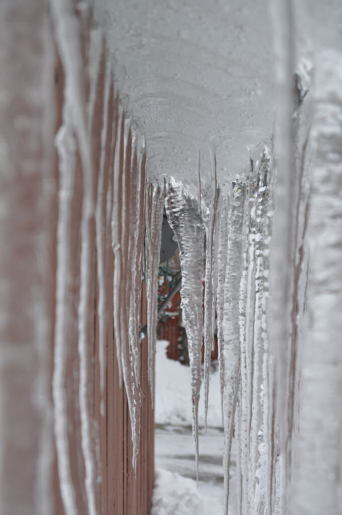 Double Icicles