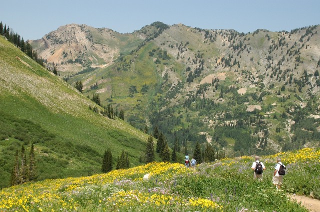 The Albion Basin