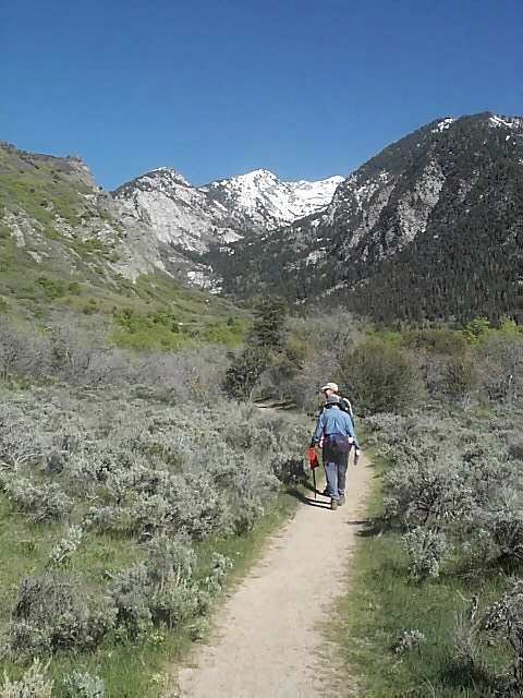 Hikers in Bells Canyon