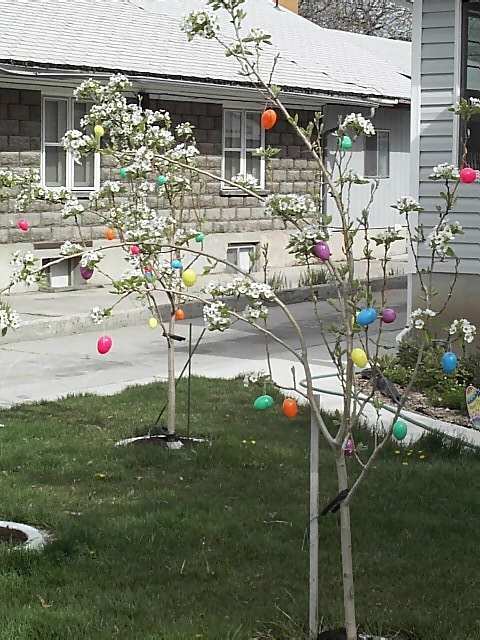 Easter Tree in Springville