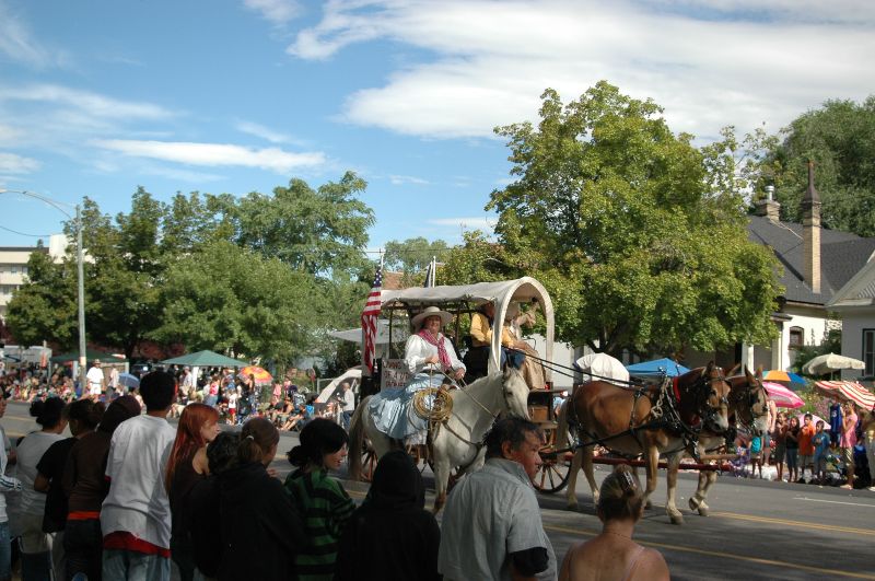 Pioneer Wagon