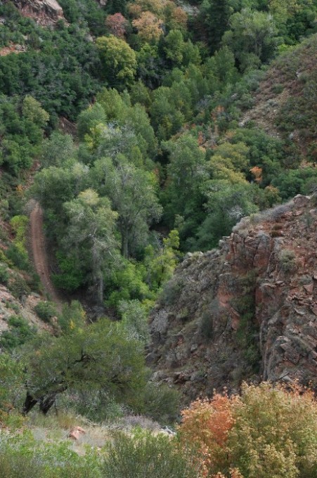 Road in Chalk Creek Canyon