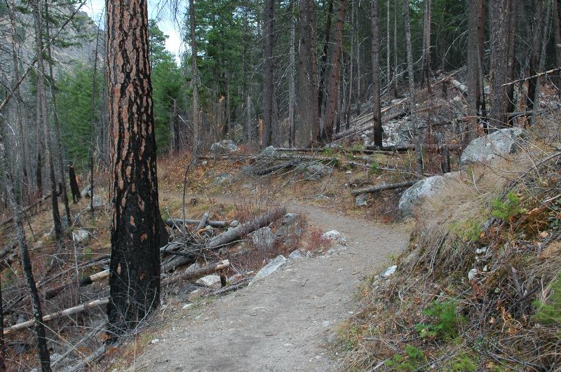 Lower Section of Trail
