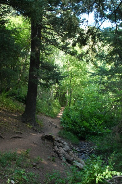 Grandeur Peak Trail