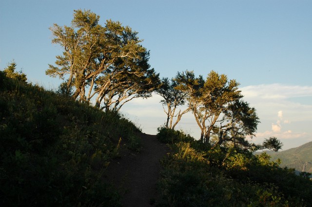 Mount Grandeur Trail