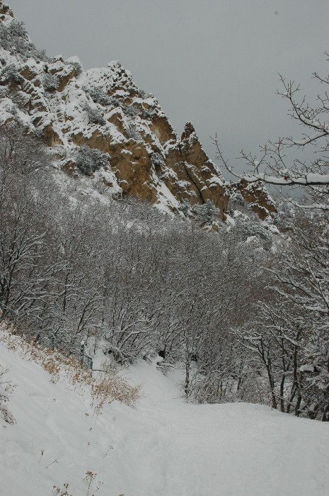 Neff Trail in Snow