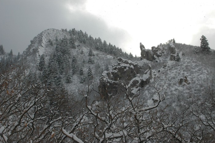 Neff Canyon in Winter