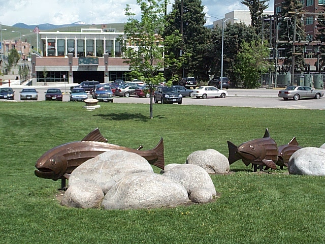 Fish in the Park