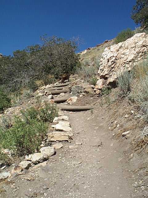 Mount Olympus Trail