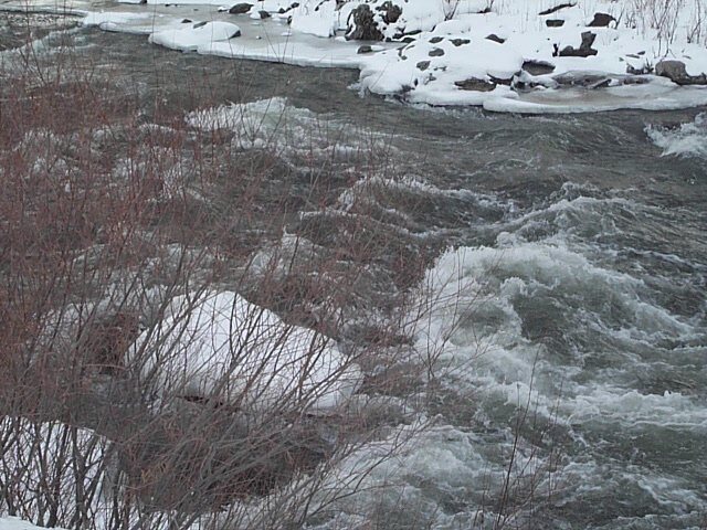 Rapids in Winter