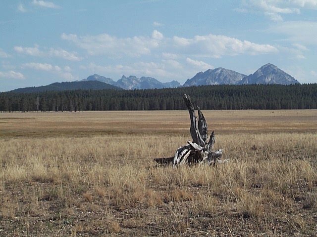 Scene in the Sawtooths