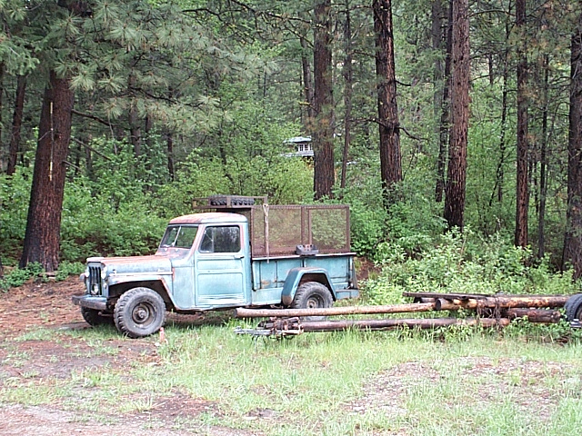 Forest Transport