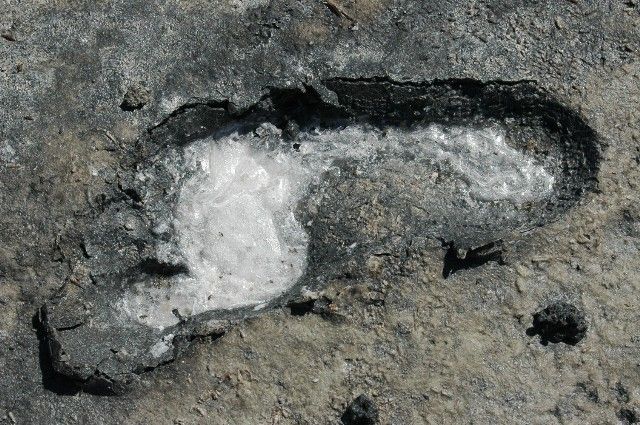 Salty Footprint