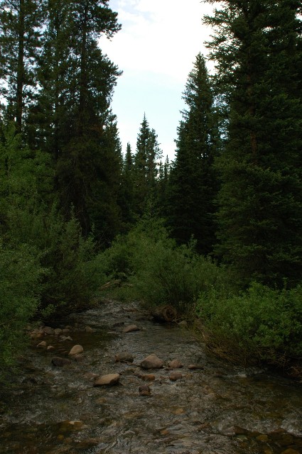 Red Pine Creek