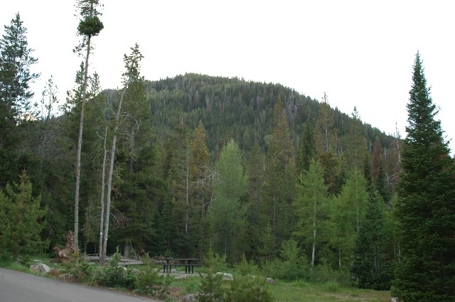 Ledgefork Campground