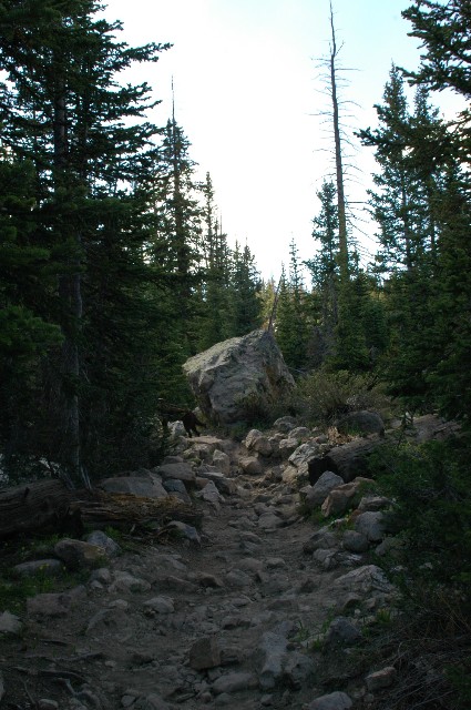 Long Lake Trail