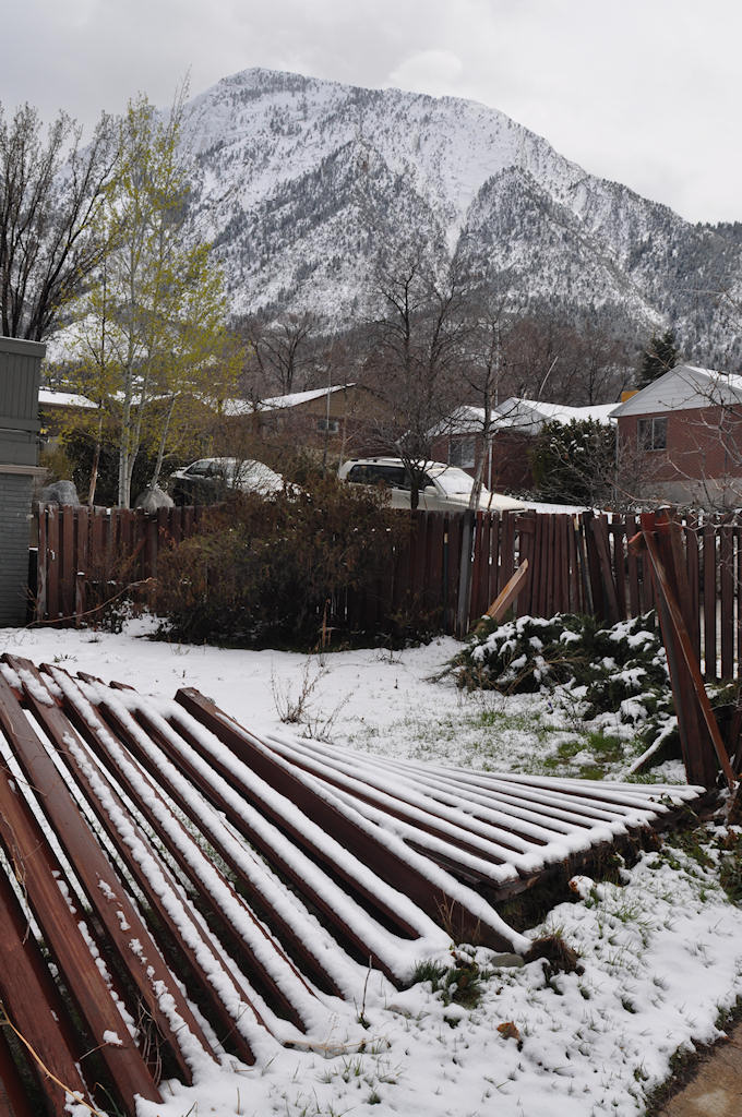 Another Snowy Day in SLC