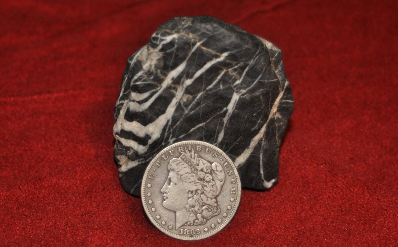 Silver Coin Framed by a Rock