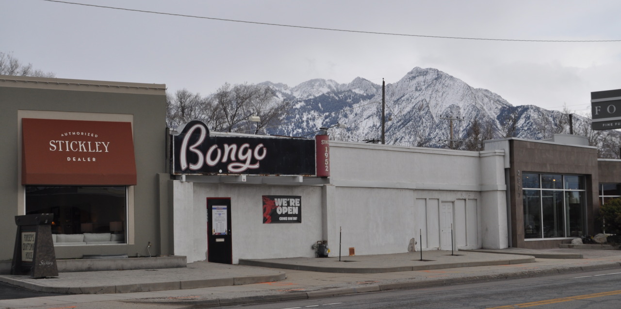 Bongo Lounge - Highland Drive