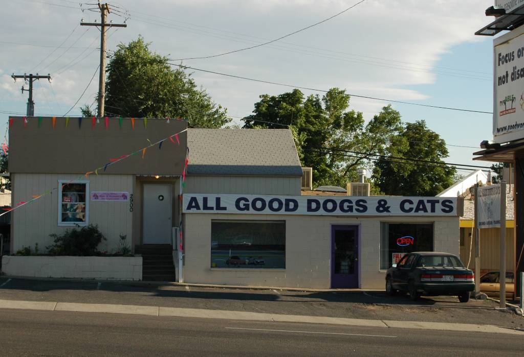 All Good Dogs and Cats
