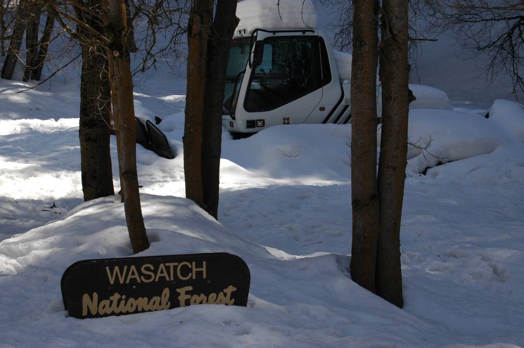 Wasatch National Forest
