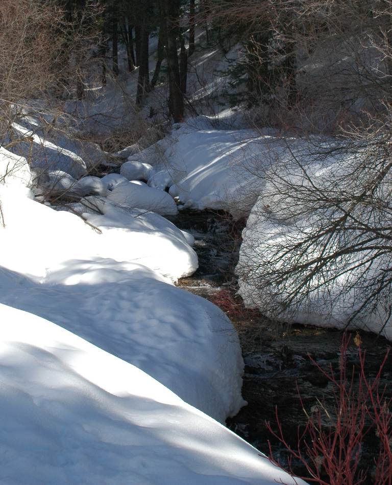 Mill Creek in the Snow