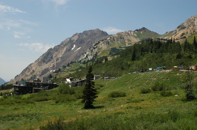 Alta in the Summer