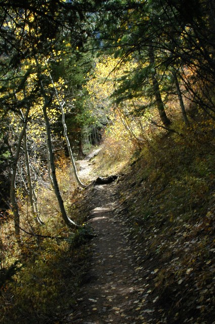 Timpooneeke Trail