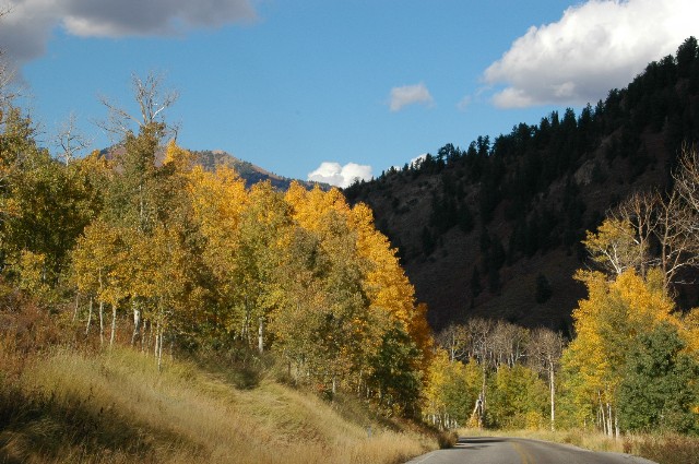 Road to Cascade Springs