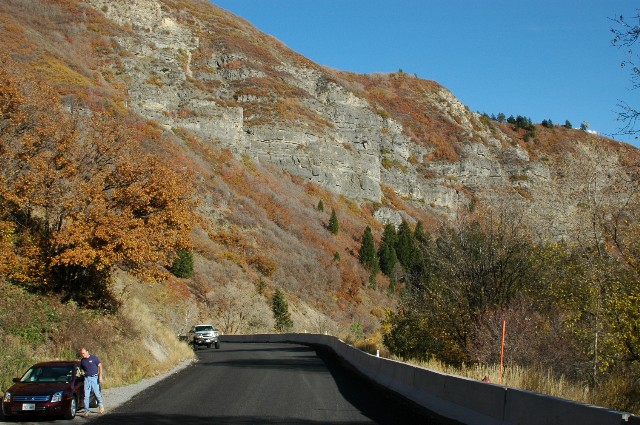 Fall Colors along the Alpine Loop