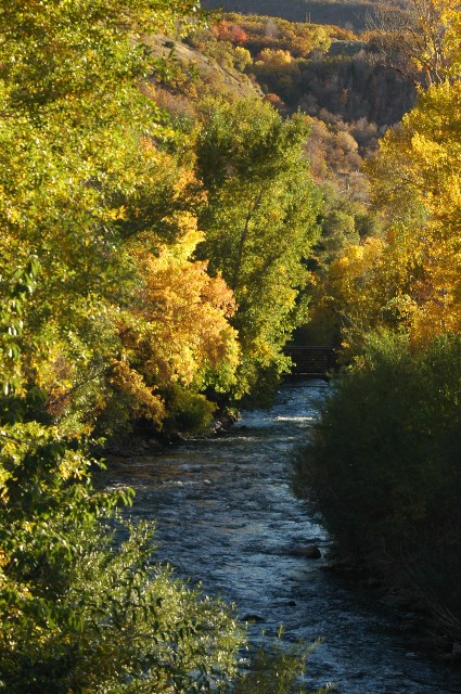 Provo River in the Fall