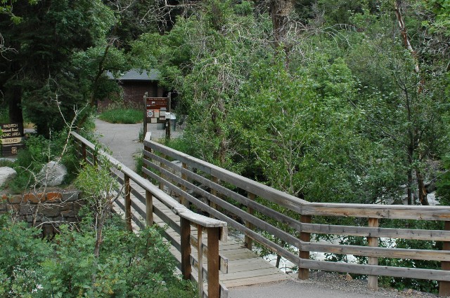 Bridge to the Birches