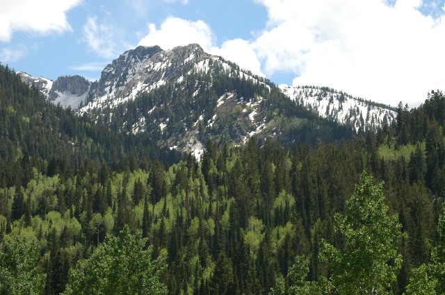 Alpine Area