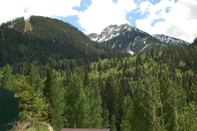 View from Silver Fork Lodge