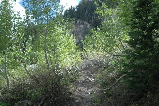 Twin Lake Trail
