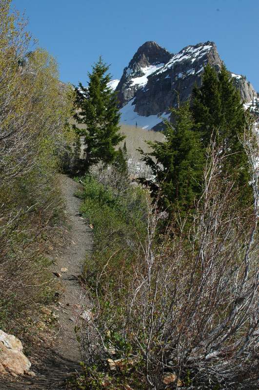 Lake Blanche Trail