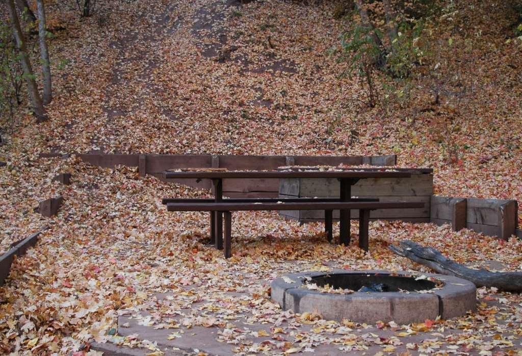 Picnic Table in the Fall