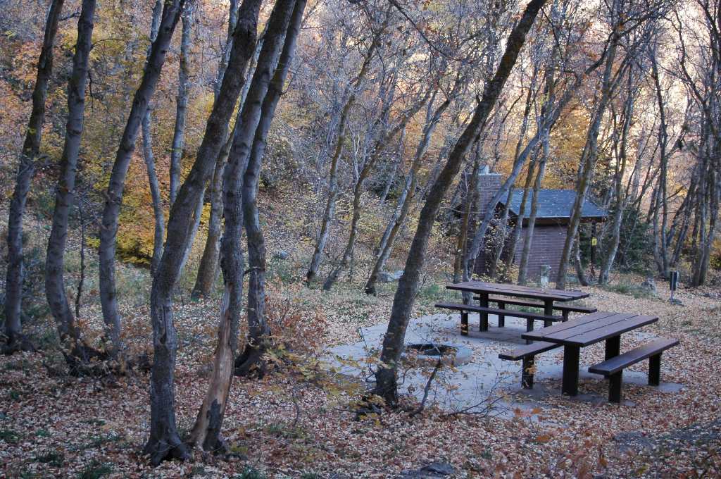 Picnic Area in the Fall