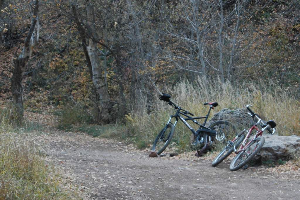 Bikes at Rest