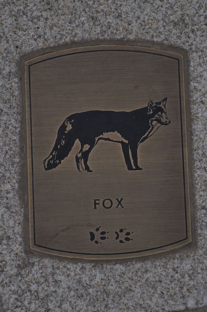 Fox Tracks