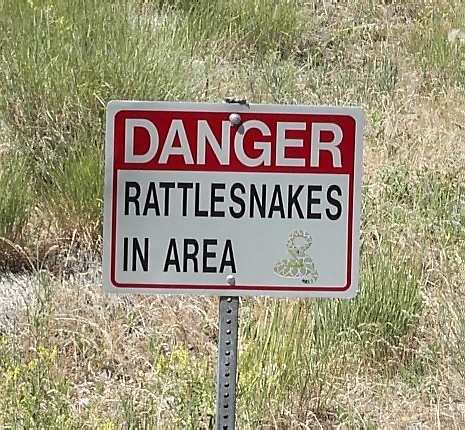 Rattle Snake Sign