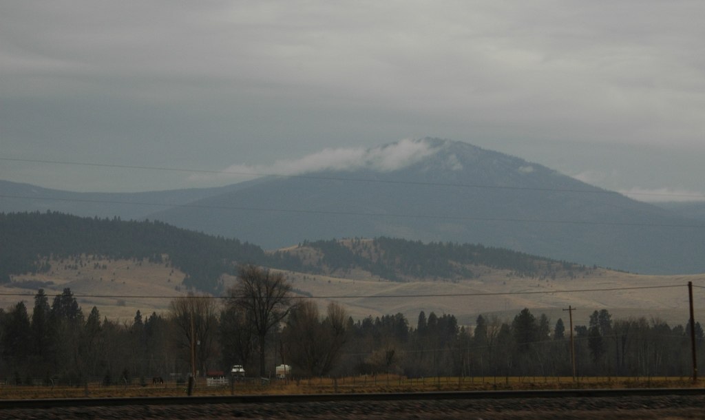 Montana Mist