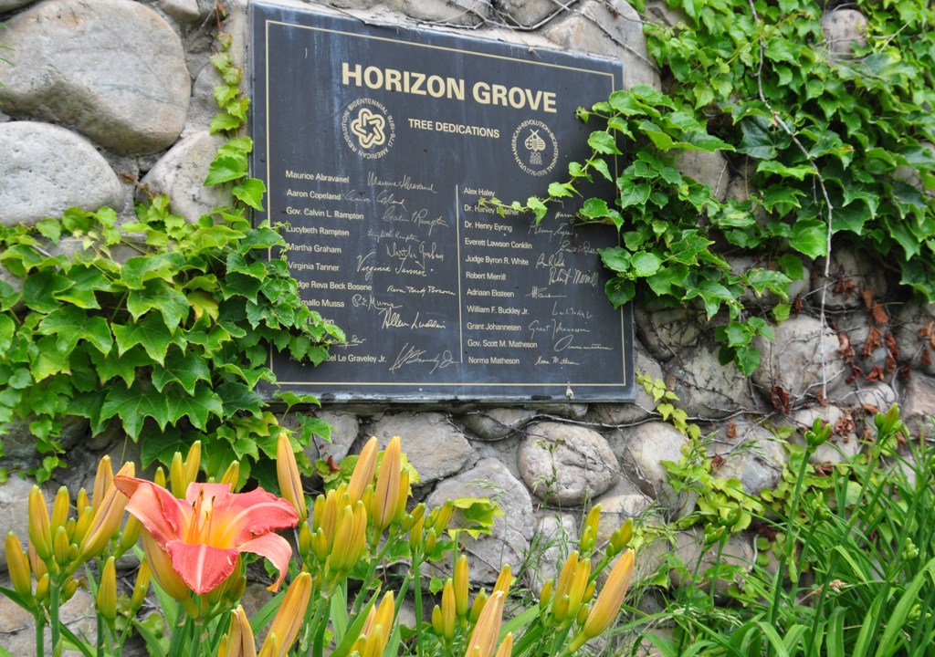 Horizon Grove