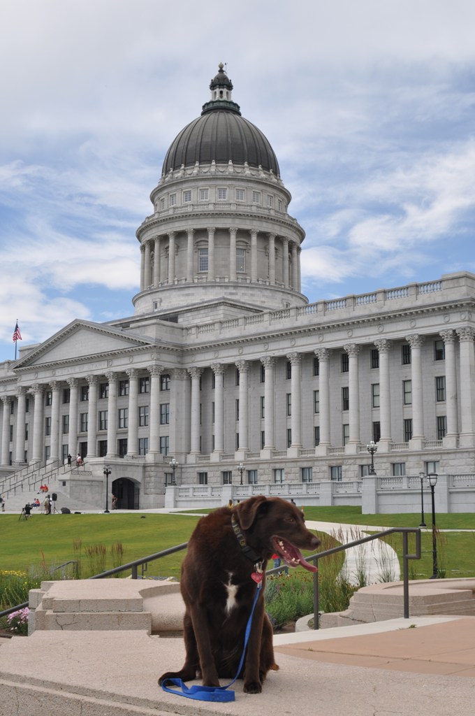 Coco visits the Capitol
