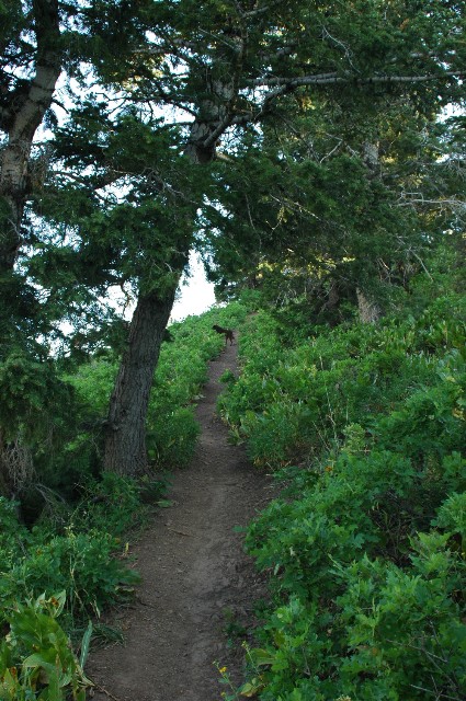 Grandeu Peak Trail