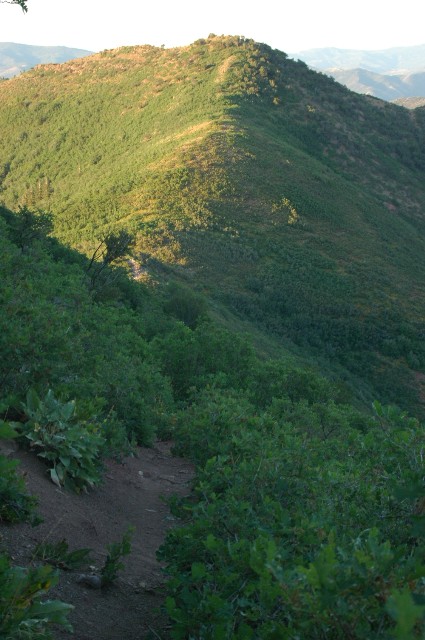 Grandeur Peak Trail
