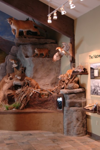 Wildlife Exhibit