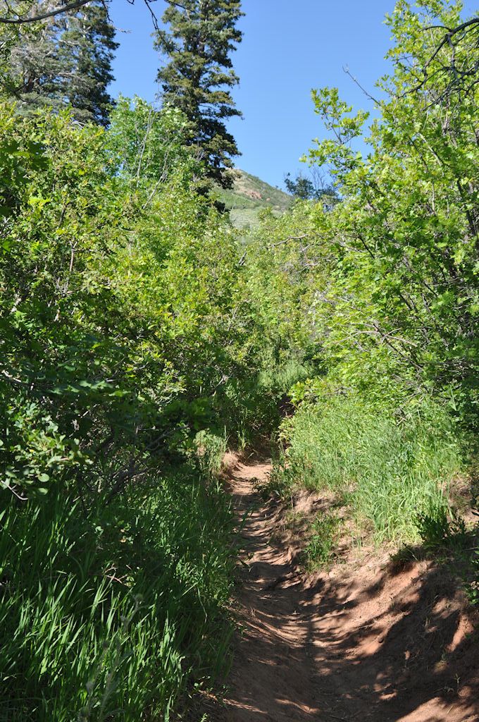Killyon Trail