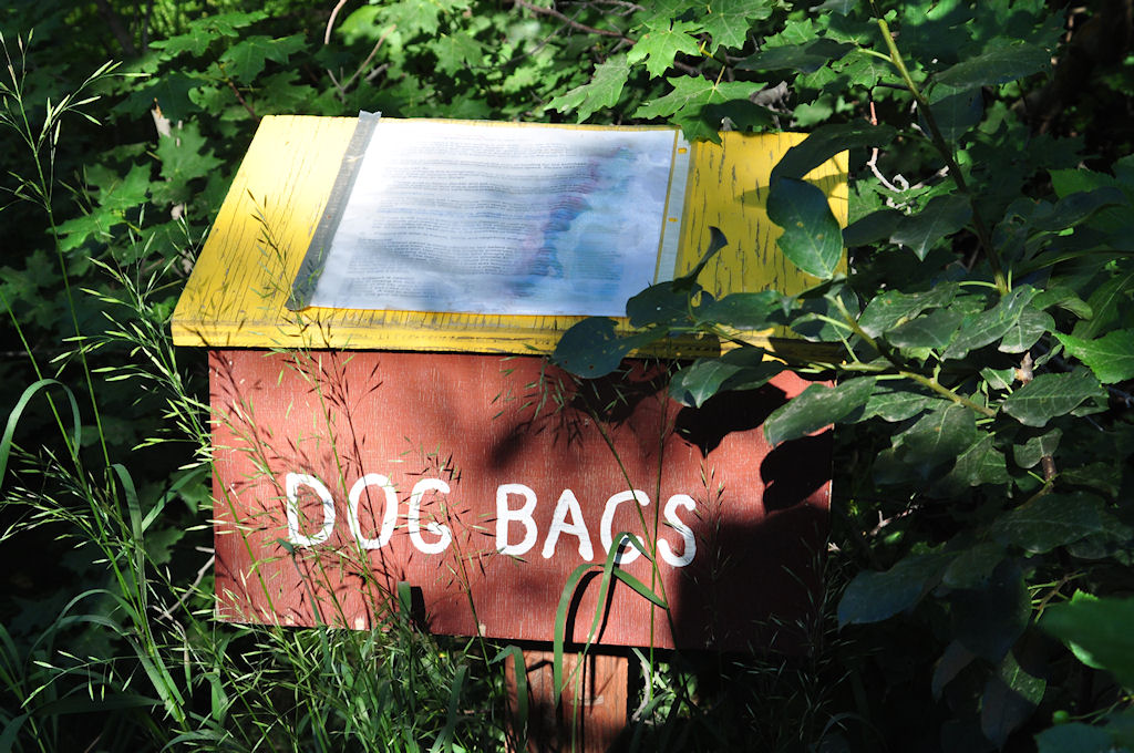 Dog Bags