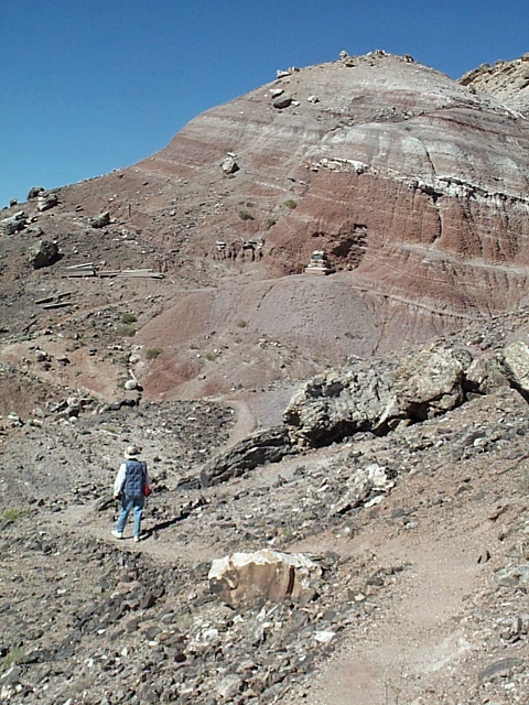 Dinosaur Hill Quarry